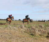 CURRAGH TRAINING GROUNDS